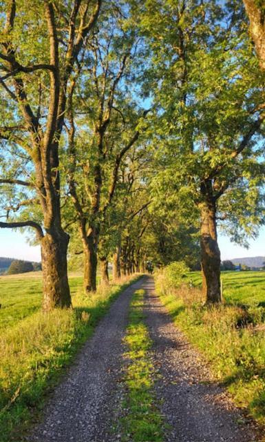 Rennsteighotel Gruener Baum Schmiedefeld am Rennsteig Exteriör bild